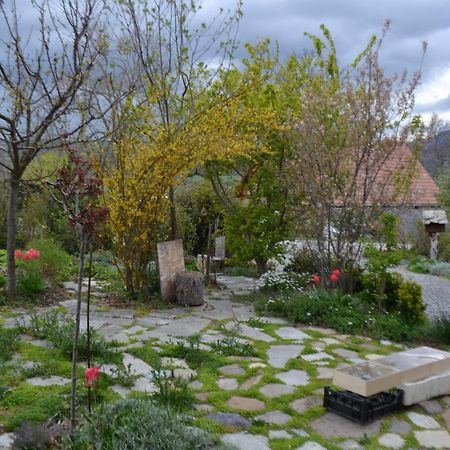 Petit appartement en montagne Saint-Julien-en-Champsaur Buitenkant foto