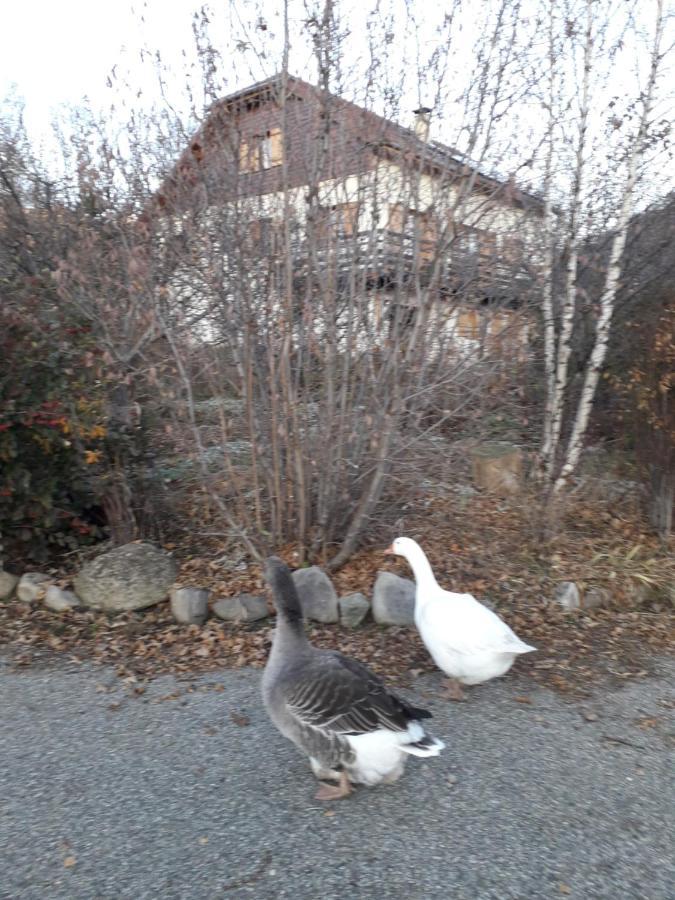 Petit appartement en montagne Saint-Julien-en-Champsaur Buitenkant foto