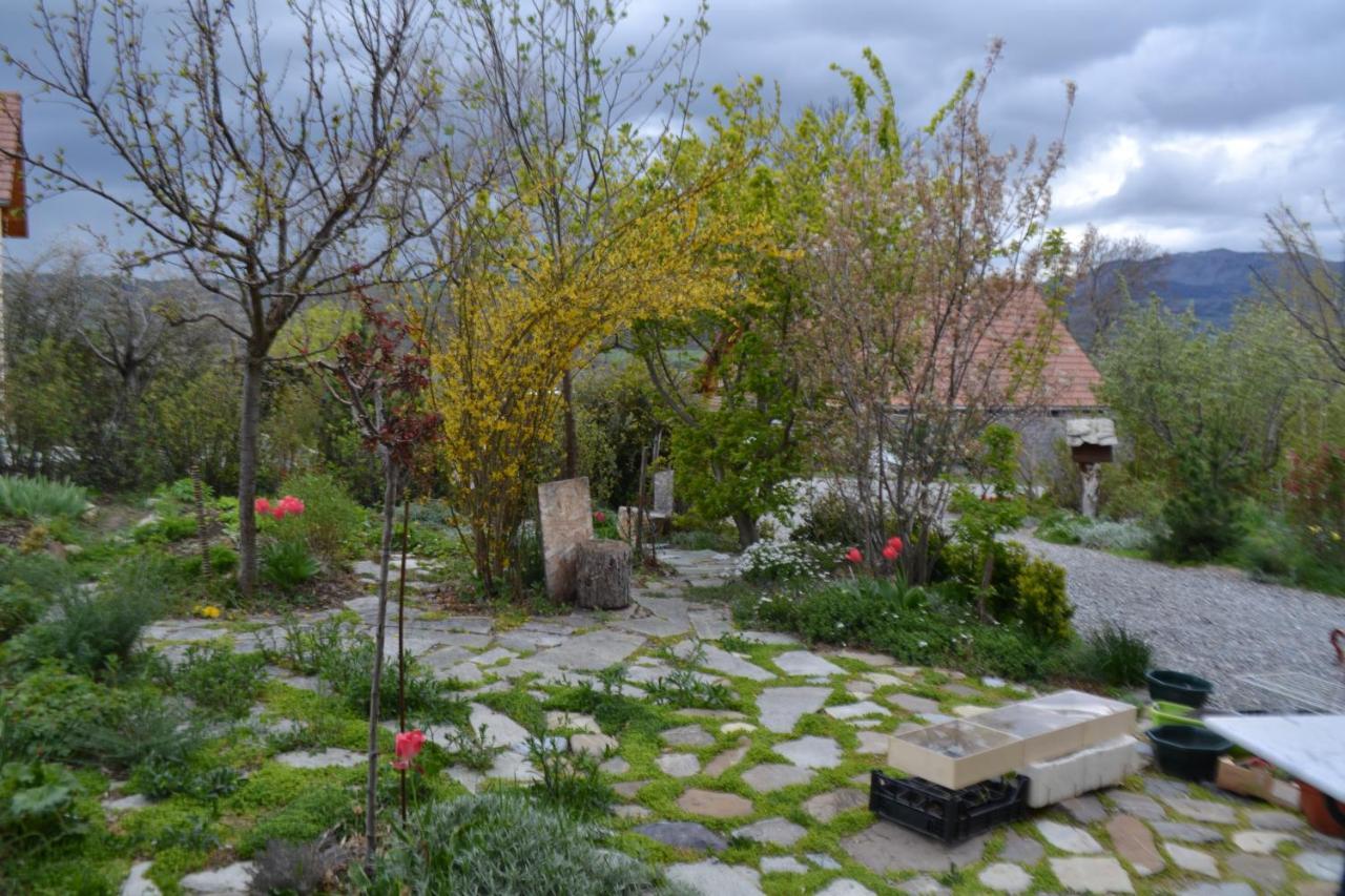 Petit appartement en montagne Saint-Julien-en-Champsaur Buitenkant foto